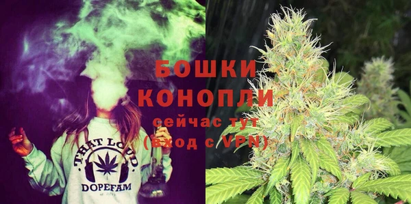 дживик Горнозаводск